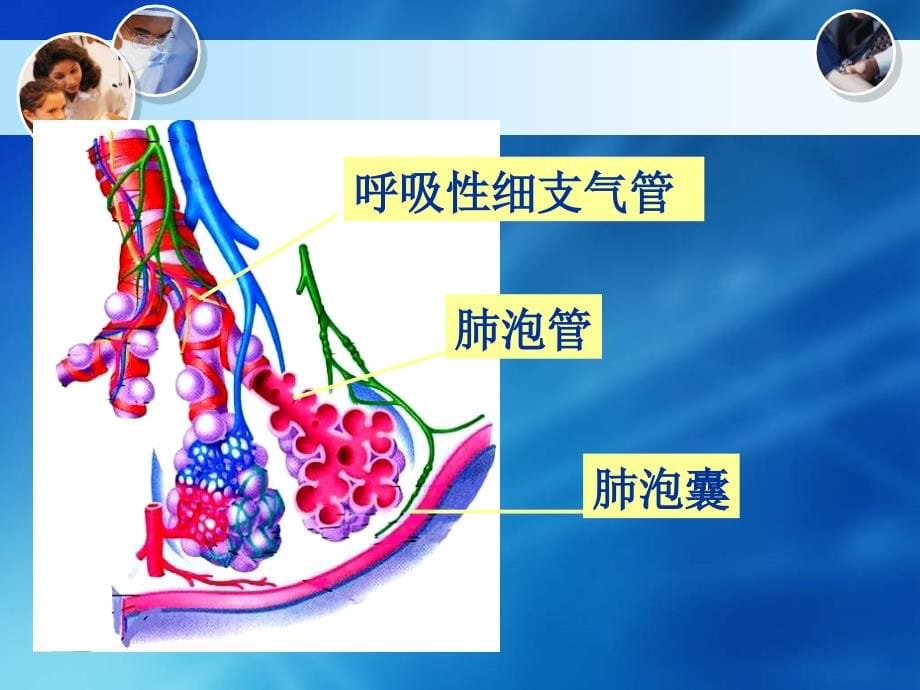 慢性阻塞性肺疾病精选参考PPT_第5页