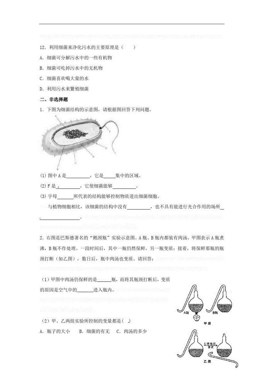 八年级生物上册第五单元第四章第二节细菌同步练习(新版)新人教版_第3页