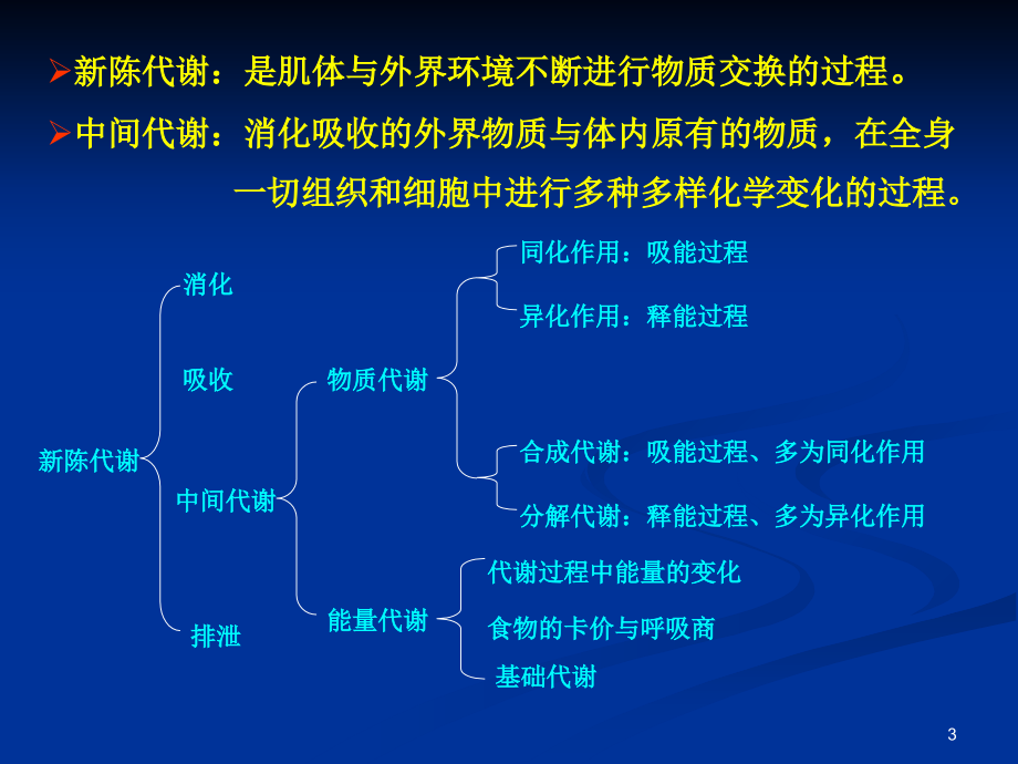 药学第13章代谢和代谢调控总论参考课件_第3页