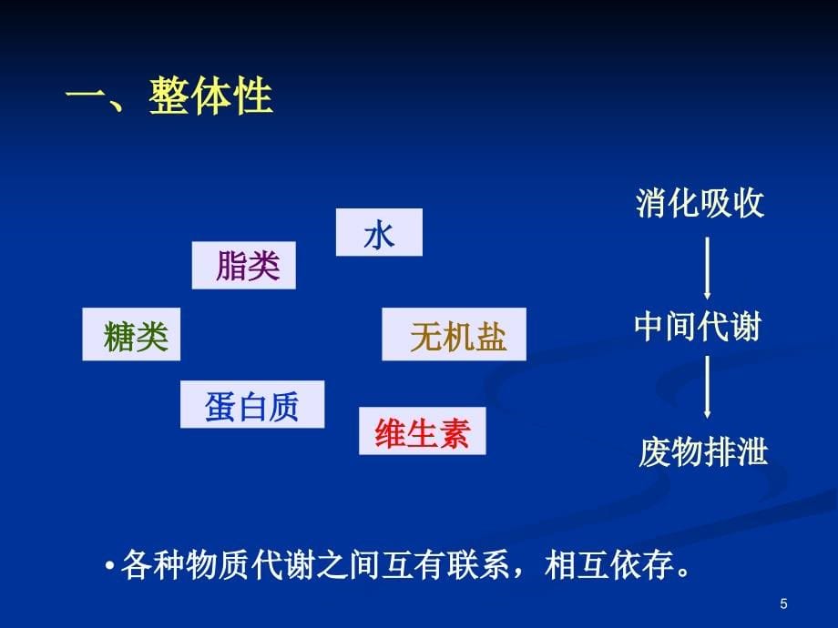 药学第13章代谢和代谢调控总论参考课件_第5页