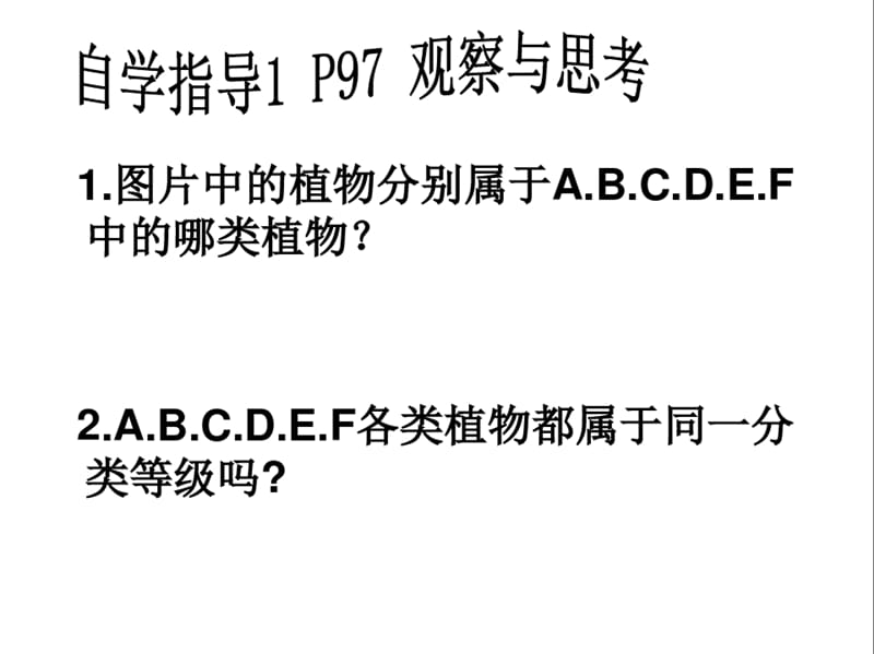 人教版八上6.1.1尝试对生物进行分类课件(共24张PPT)_第5页