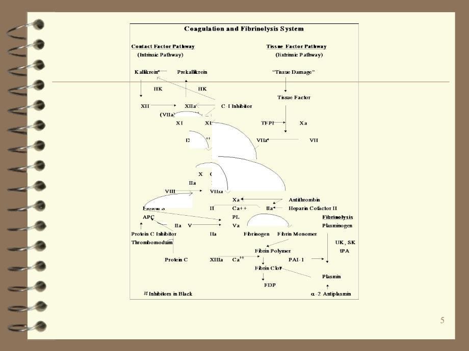 《血栓性疾病的诊治》_第5页
