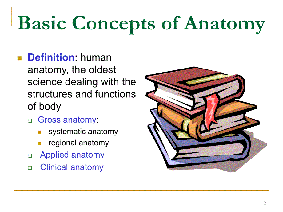 《运动系统解剖学》_第2页