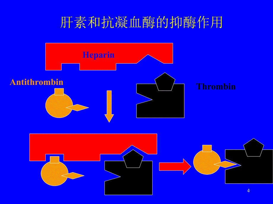 《血液凝固调节系统》_第4页