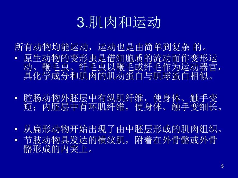 《无脊椎小结》演示PPT_第5页