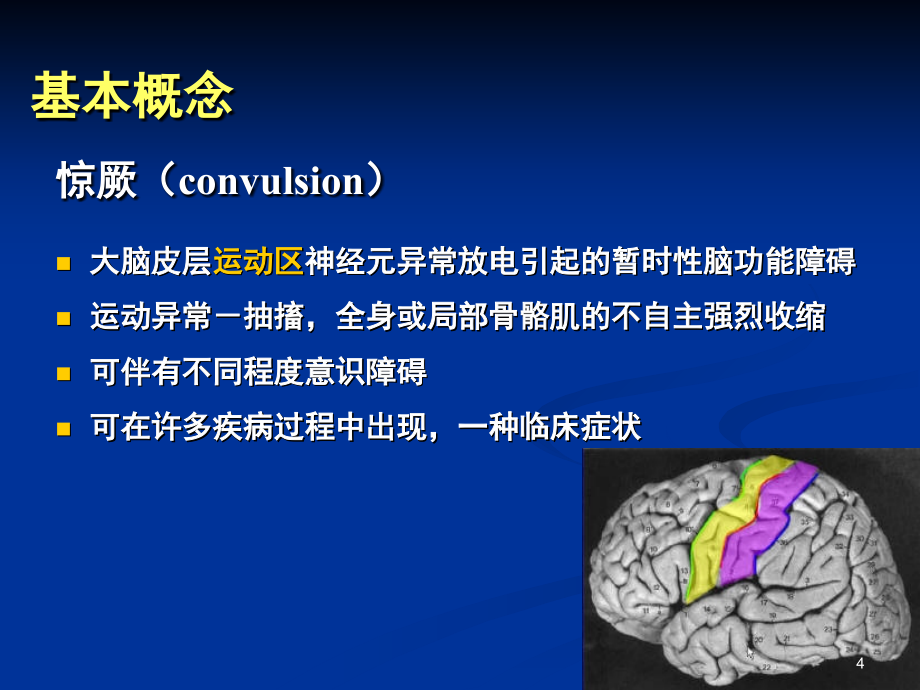 小儿惊厥3h李秀娟医学影像本科_第4页