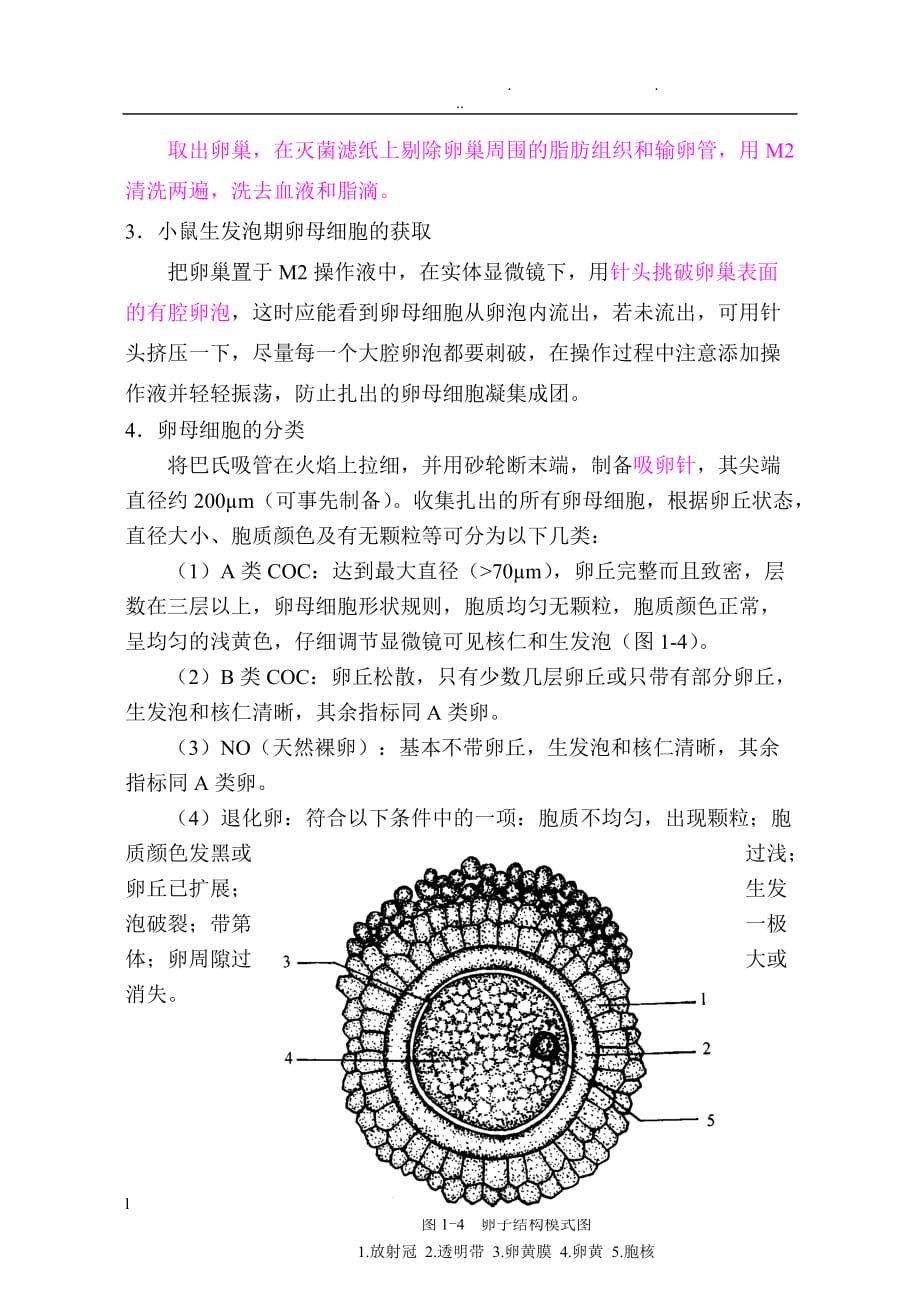 动物胚胎工程实验教程小鼠卵的体外成熟与体外受精材料与方法_第4页