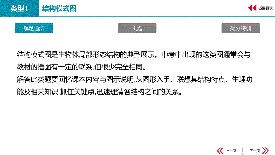 中学生物图表题 课件_第4页