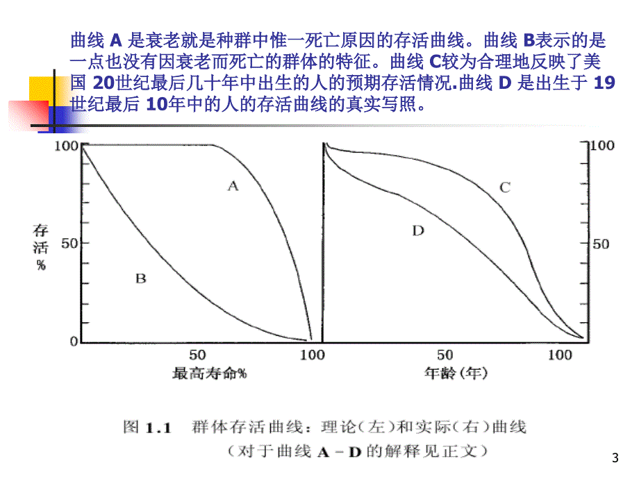 《人口死亡研究》演示PPT_第3页