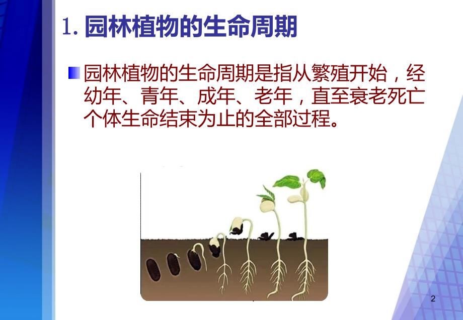 园林植物生长发育基本规律PPT课件_第2页