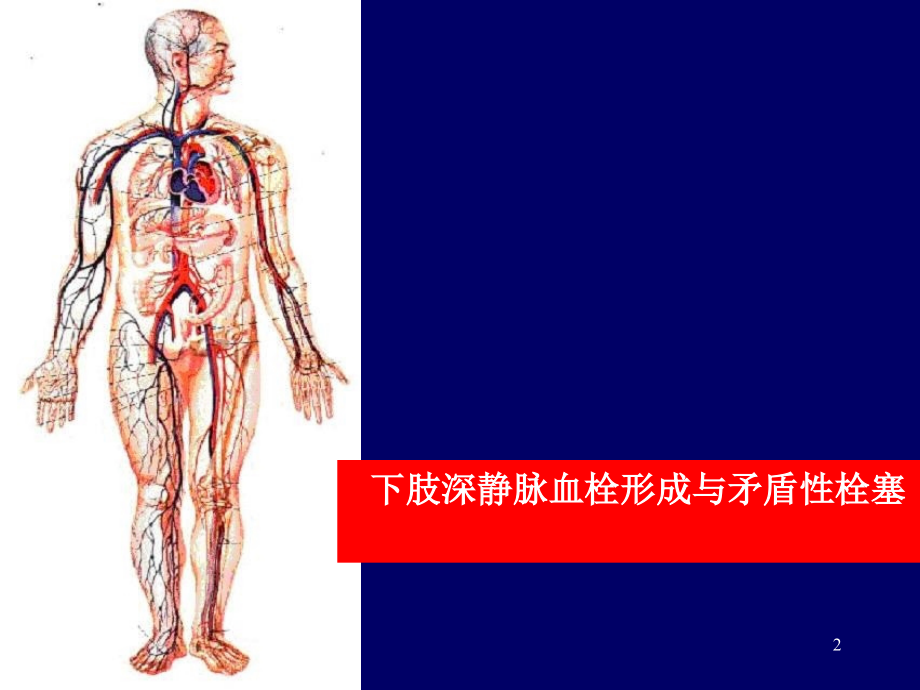 《肢静脉血栓》_第2页