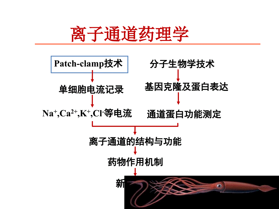 《钙通道阻滞药》_第3页