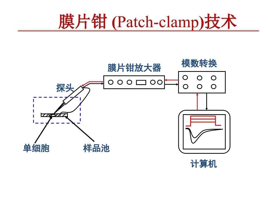 《钙通道阻滞药》_第5页