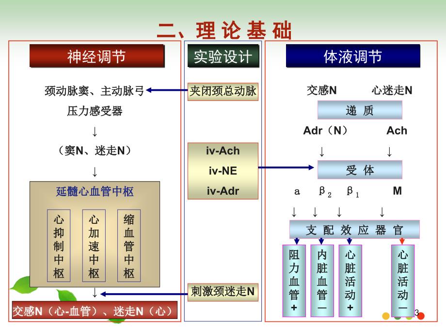 《心血管功能左心衰》演示PPT_第3页