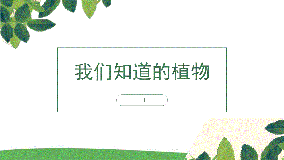 教科版小学科学一年级上册《我们知道的植物》优质课件教科版_第1页