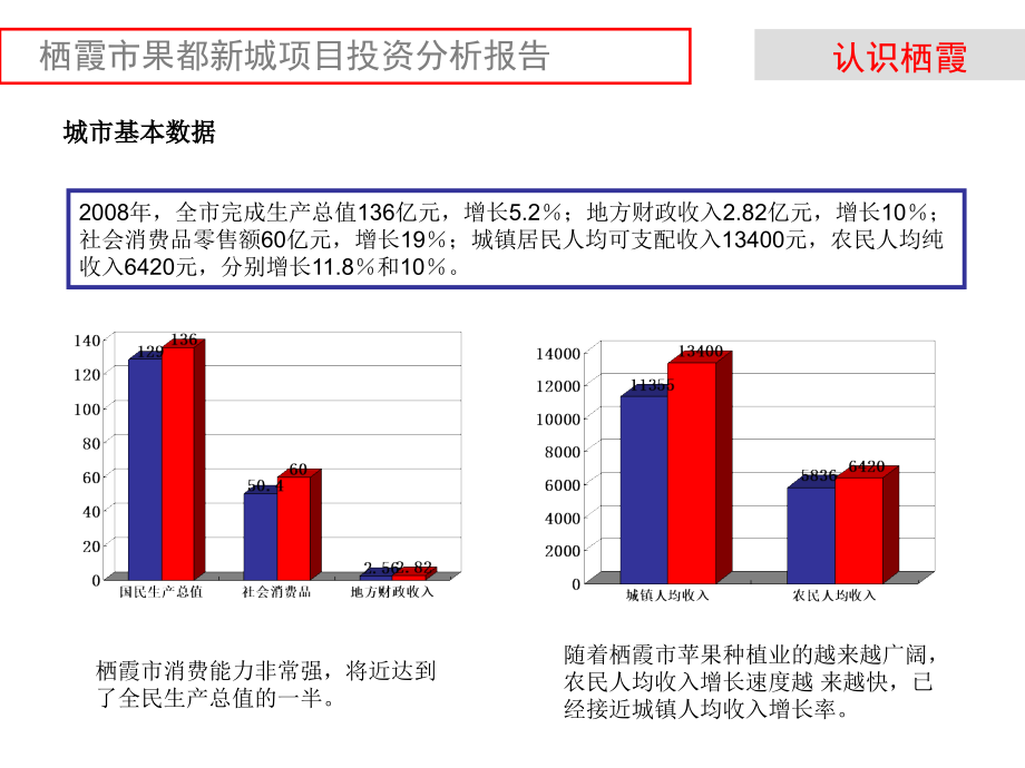 投资分析报告融资)_第4页