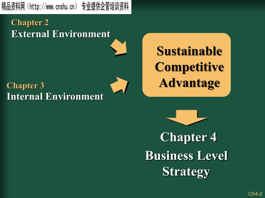Business-Level Strategyt 4_第2页
