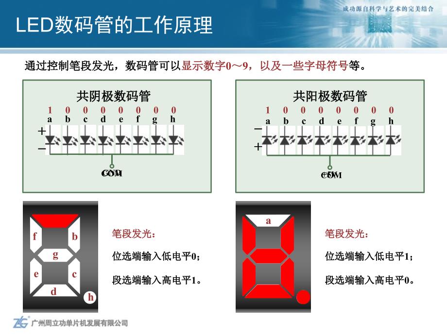 数码管驱动与程序设计培训课件_第4页