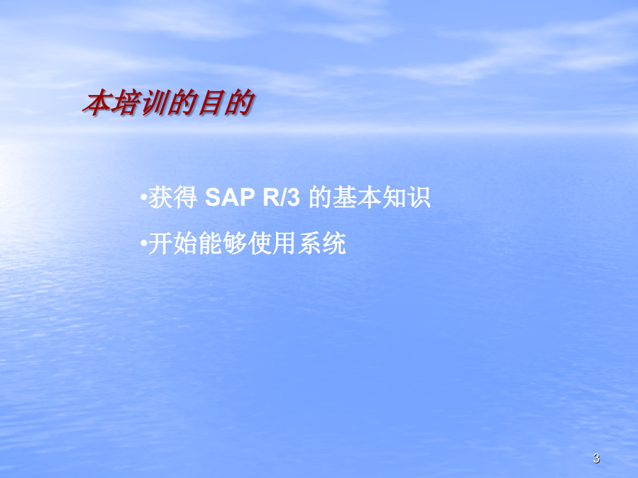 《SAP项目培训》PPT参考课件_第3页