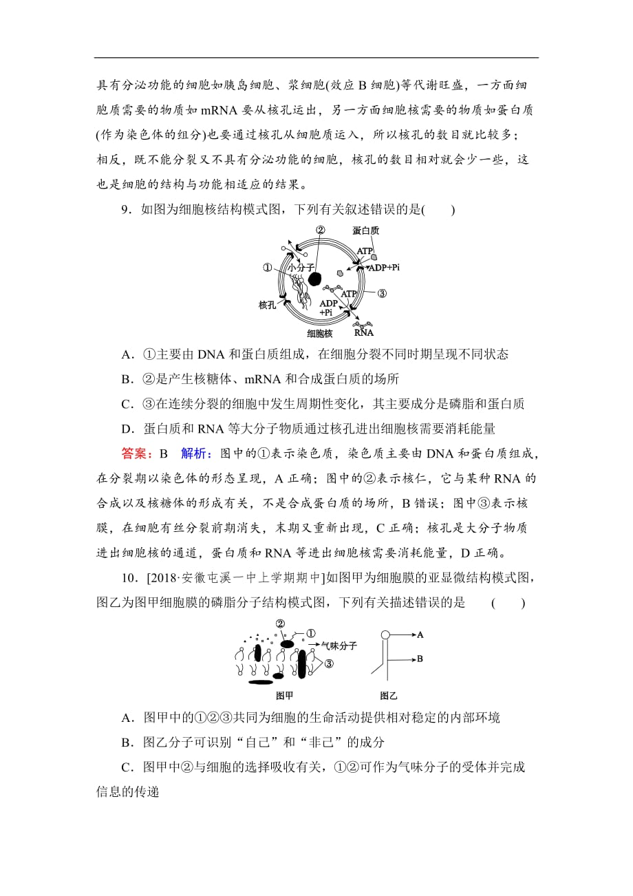 2019届高考生物一轮复习：课时作业5细胞膜与细胞核（含解析）_第4页