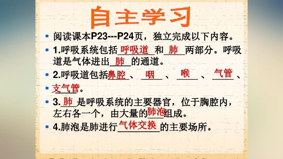 济南版七年级生物下第二章第一节《人体与外界气体交换》公开课教学课件共16张PPT-完整版_第3页