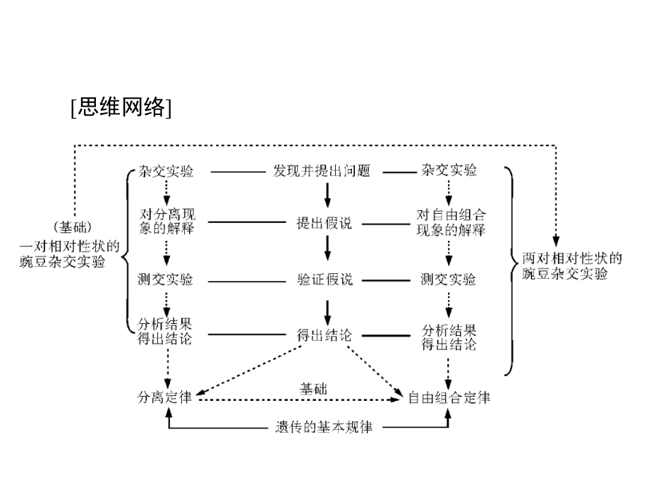 2020年高考生物一轮复习课件：必修2 第1章 第1节 孟德尔的豌豆杂交实验（一）(含答案)_第3页