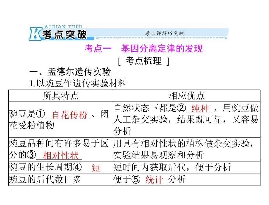 2020年高考生物一轮复习课件：必修2 第1章 第1节 孟德尔的豌豆杂交实验（一）(含答案)_第5页