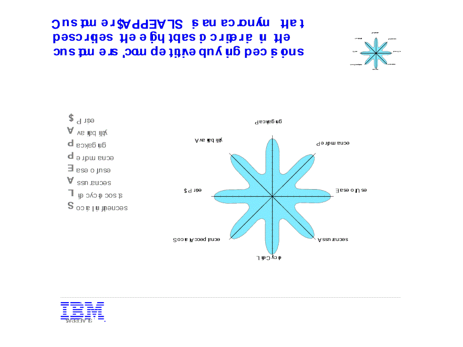 IBM产品差异化模型概述英文版)_第3页