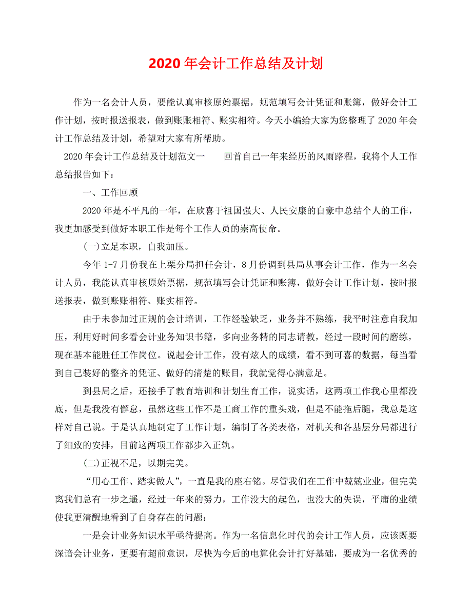 2020最新-年会计工作总结及计划_第1页