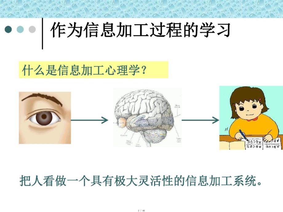 学习的信息加工过程及教法指导(20200919184216)[实用]_第2页