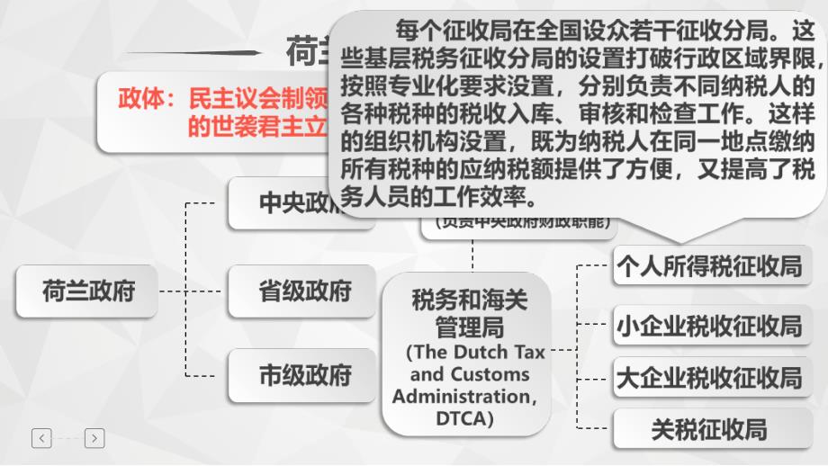 荷兰税收风险管理教材（_第3页