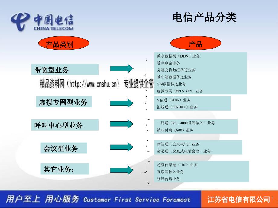 中国电信I VN产品的定位及其比较_第1页