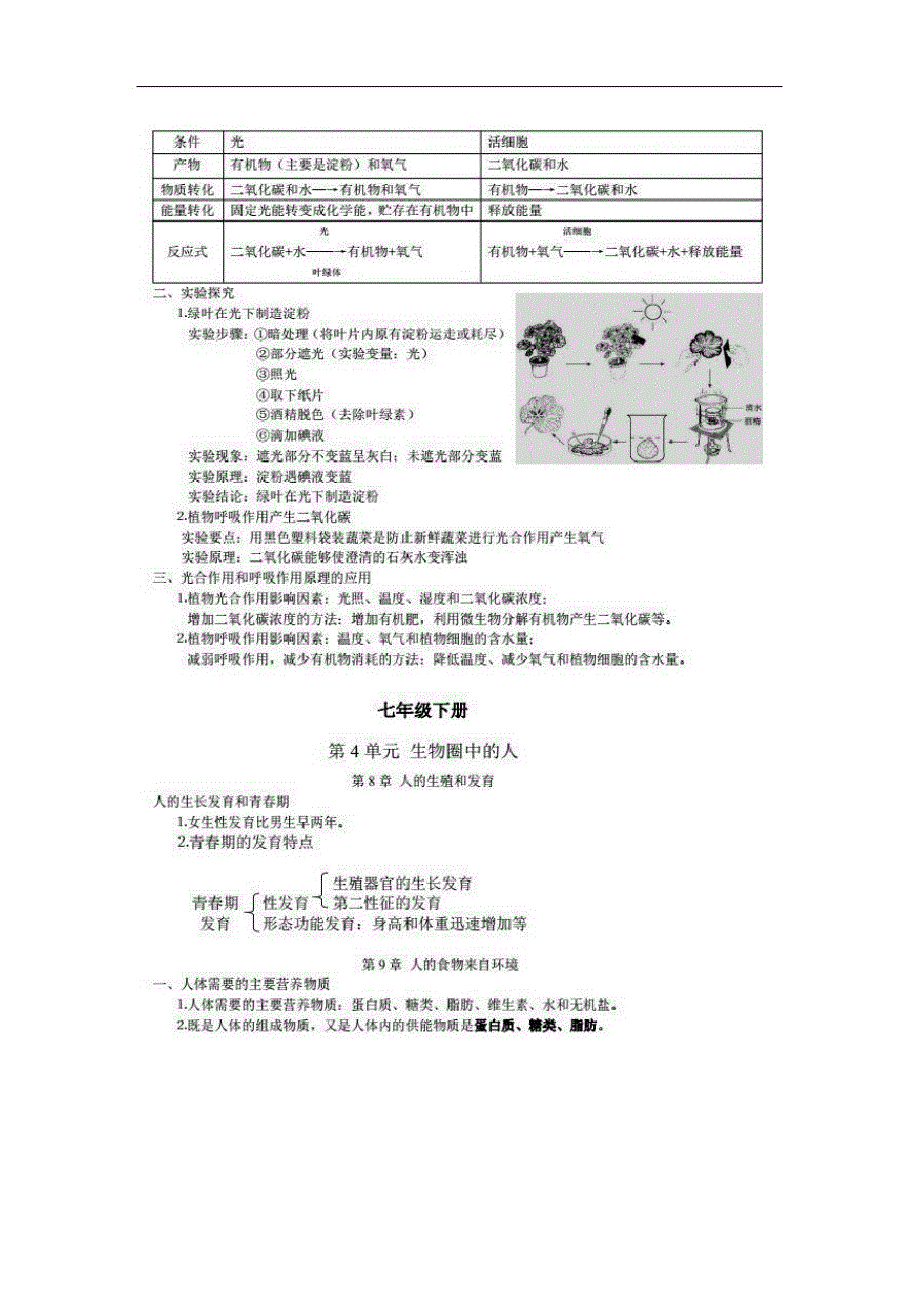 七、八年级生物知识点_第3页