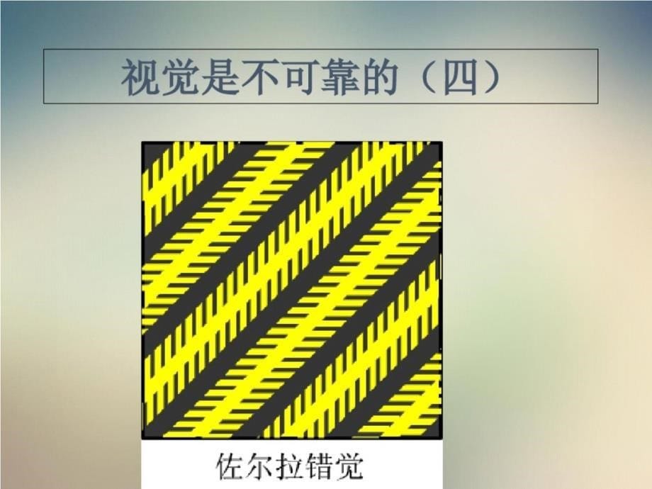 沪科粤教2021课标版初中物理八年级上册测量长度和时间-完整版_第5页