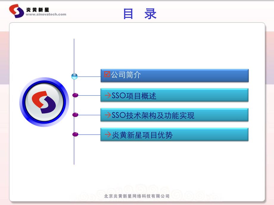 SSO项目交流概述_第1页