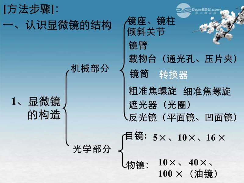 七年级生物上册_第二节_学会观察课件_冀教版 修订_第2页