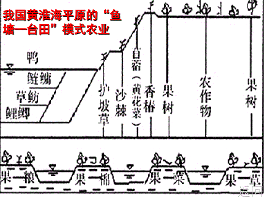 1414编号我国三种立体农业模式_第2页