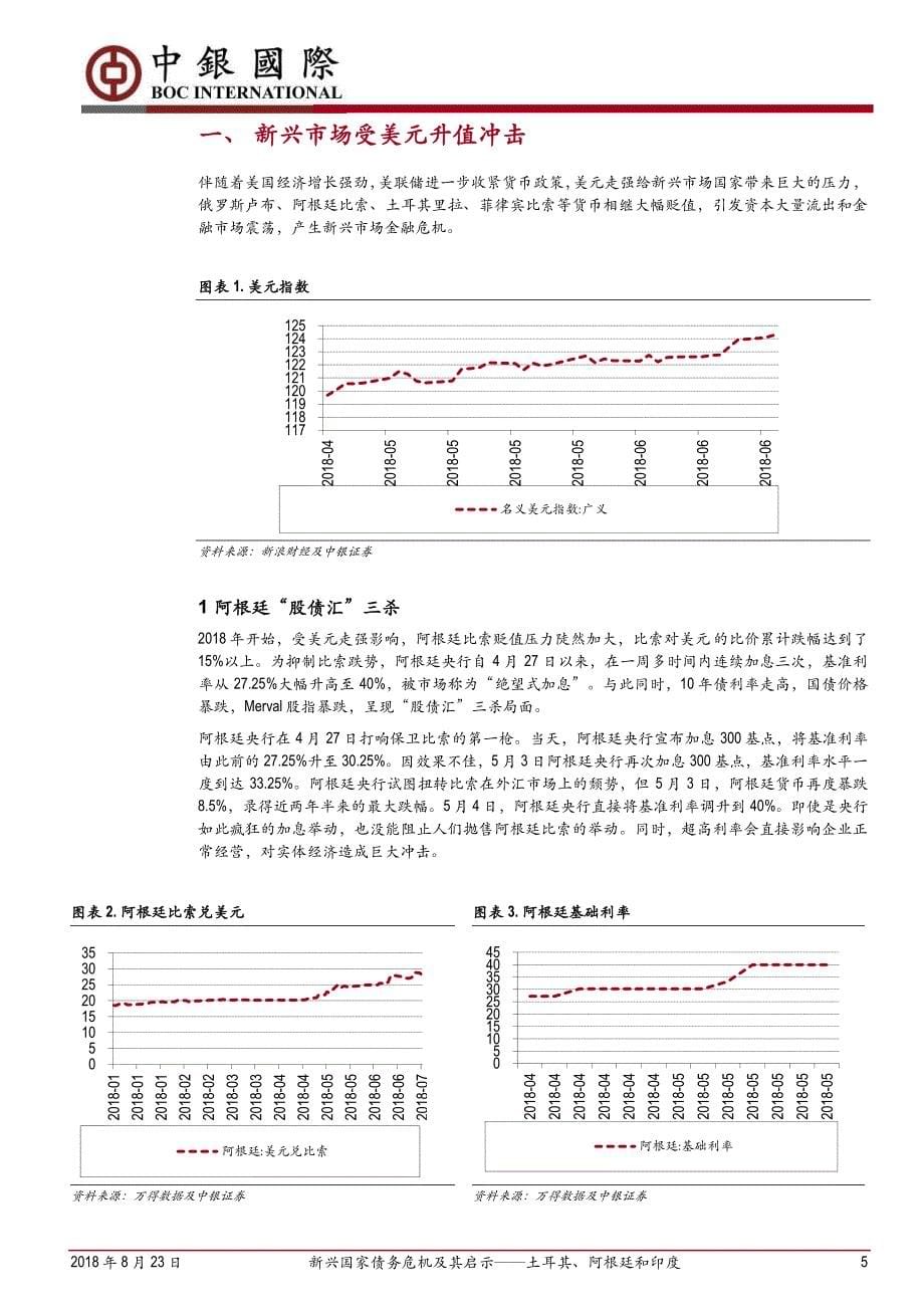 新兴国家债务危机及其启示——土耳其、阿根廷和印度_第5页