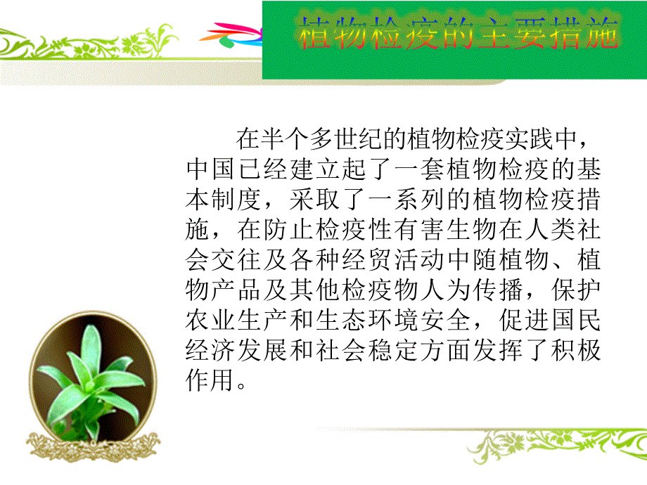 植物检疫的主要措施精品_第2页