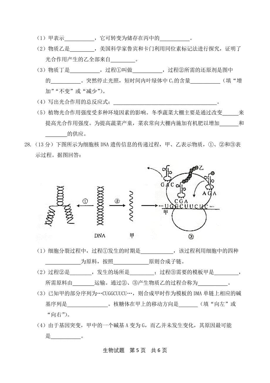 1513编号山东省2018年夏季普通高中学业水平考试(会考)生物试题及参考答案(供2017级高一学生使用)_第5页