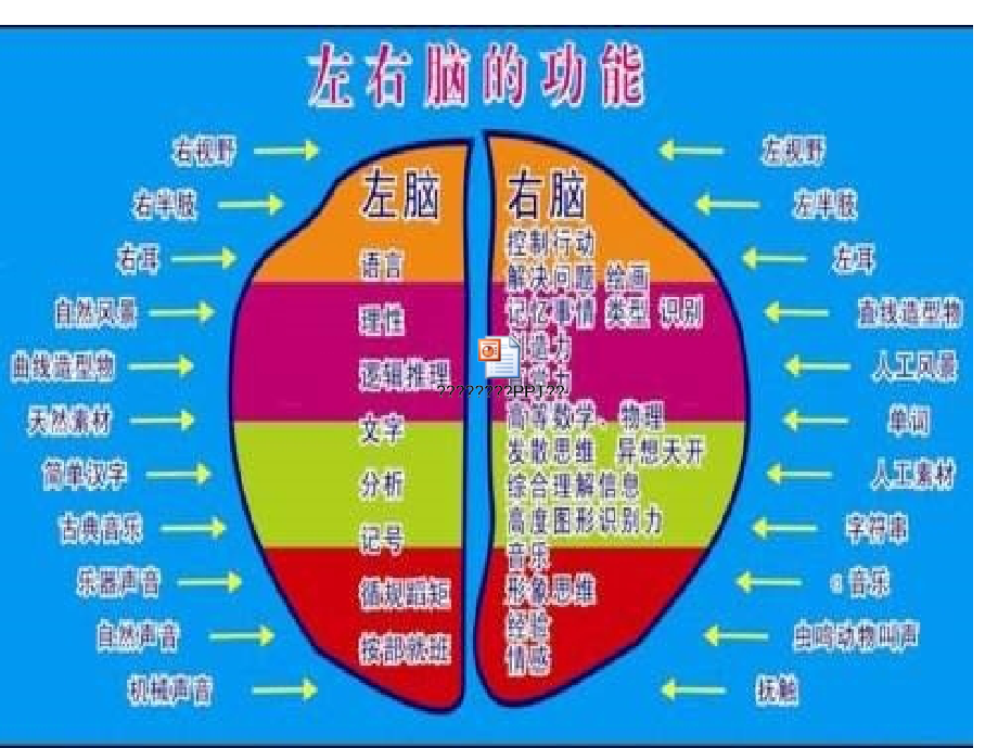 免疫调节PPT课件 (优质公开课)精品_第4页