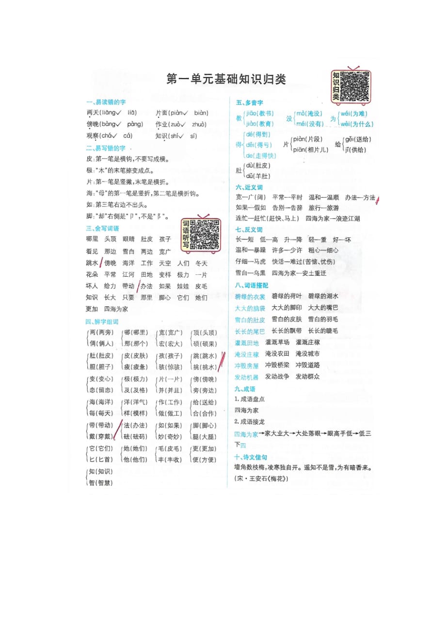 1-8单元基础知识总结_第1页