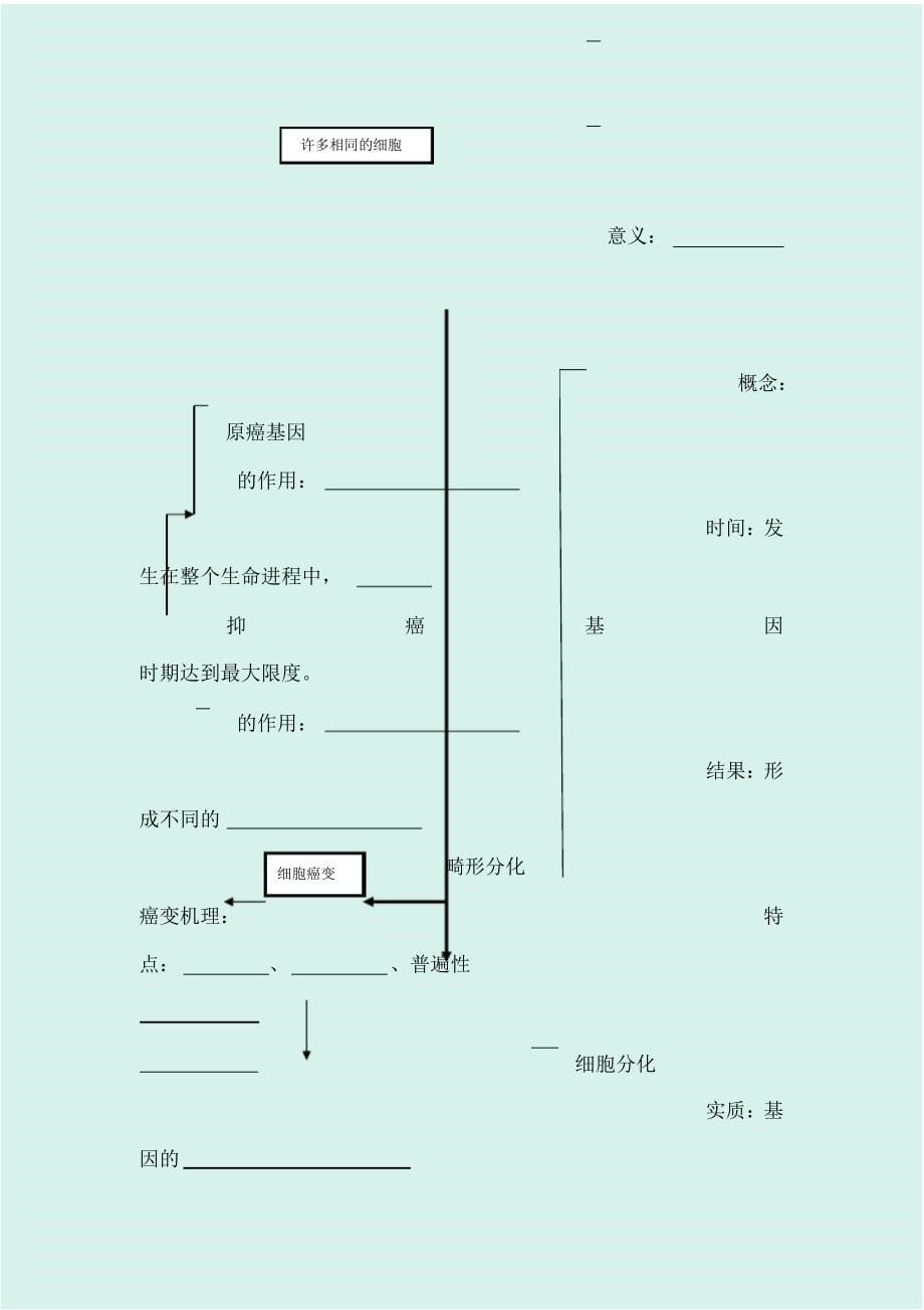 2020届高考生物二轮专题复习讲义：专题二细胞的生命历程_第5页