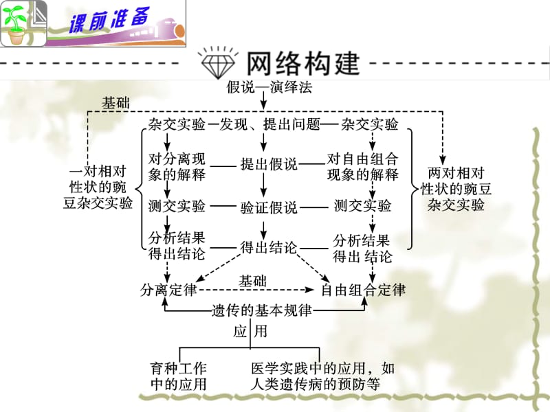 高考生物二轮总复习课件专题4小专题9孟德尔遗传定律的应用与拓展人教版演示课件_第3页