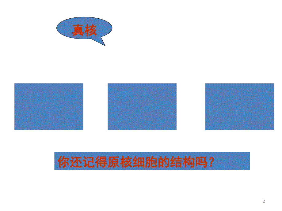 人教版教学课件生物精华课件细胞器——系统内的分工合作演示课件_第2页