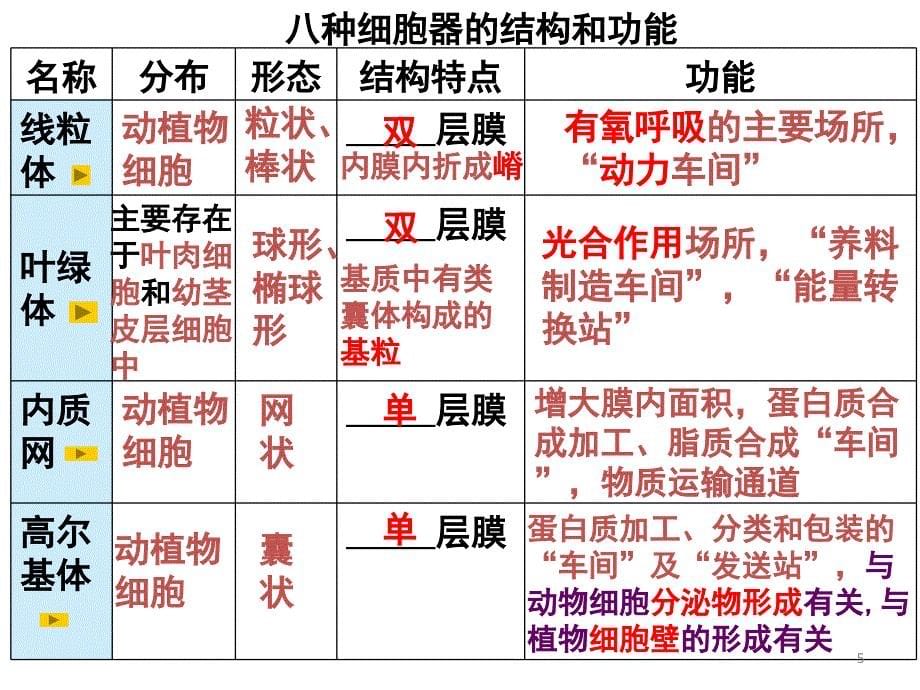 人教版教学课件生物精华课件细胞器——系统内的分工合作演示课件_第5页