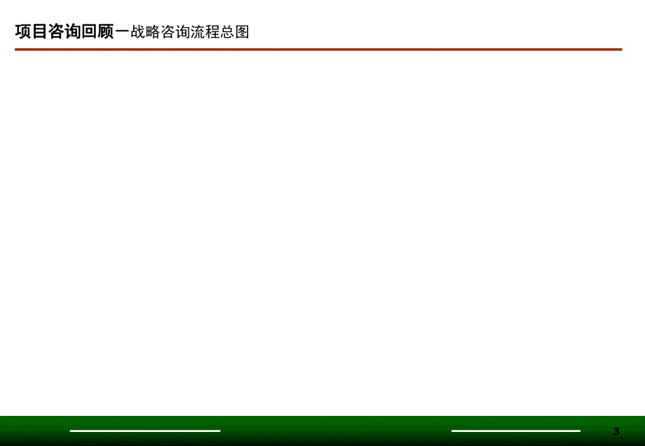 某公司战略咨询项目研究报告_第3页