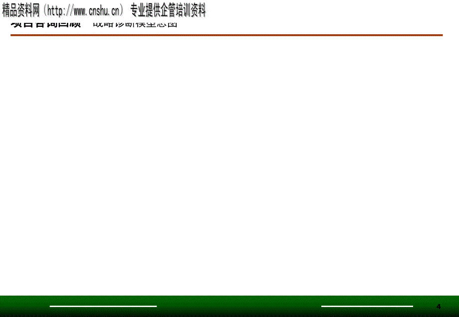 某公司战略咨询项目研究报告_第4页