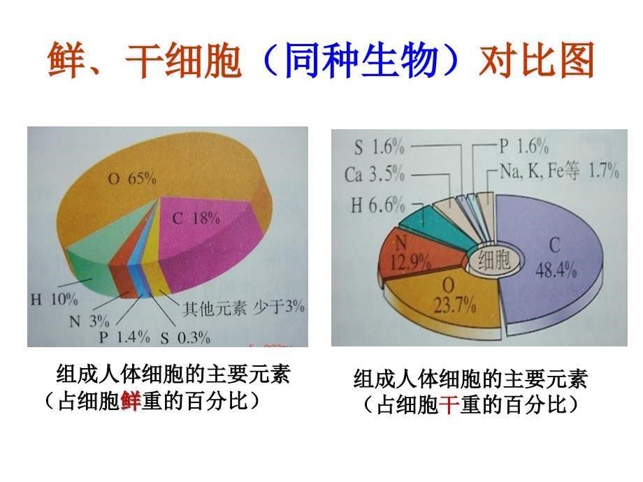 高中生物必修一第二章2.1细胞中的元素和化合物_第5页