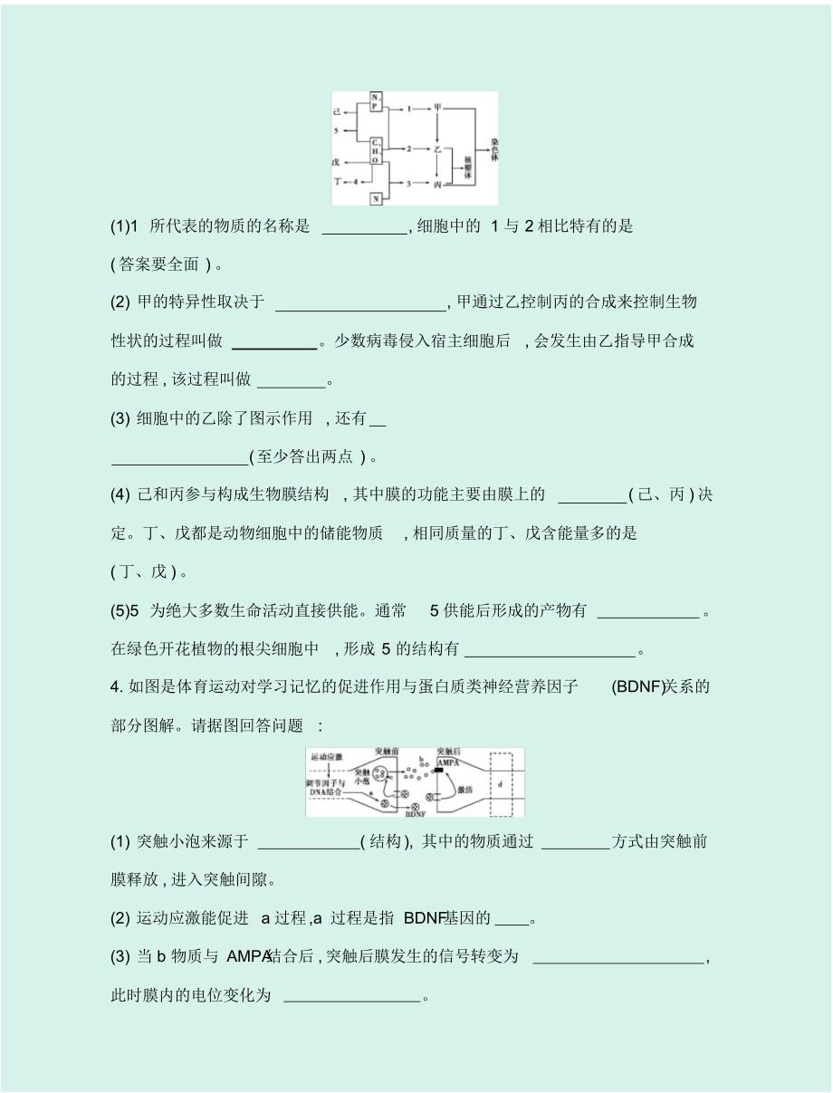 2020届高考生物一轮复习高分解题模板：3.模型图解类_第4页